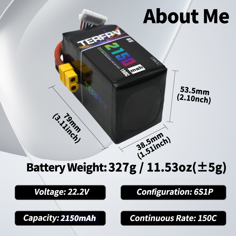 TERFPV Lipo Battery 6S 22.2V 1 - Nano Quad Fpv ulasan dan harga